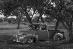 old chevy truck under trees